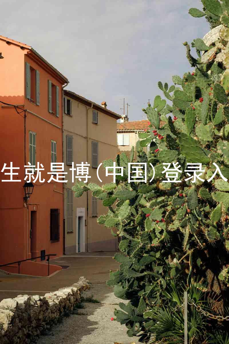 人生就是博(中国)登录入口