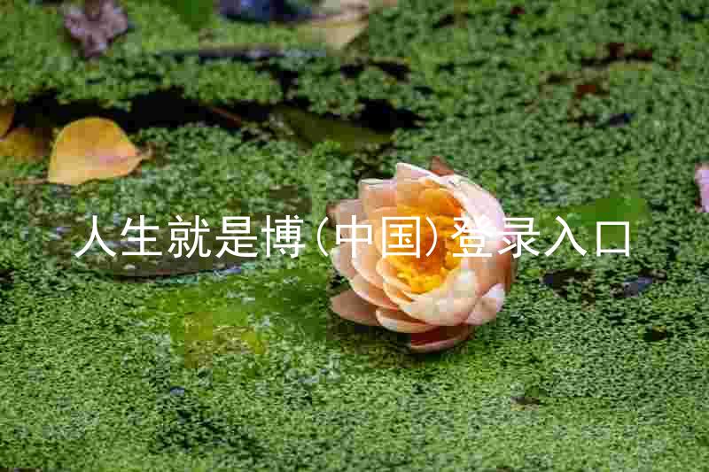 人生就是博(中国)登录入口
